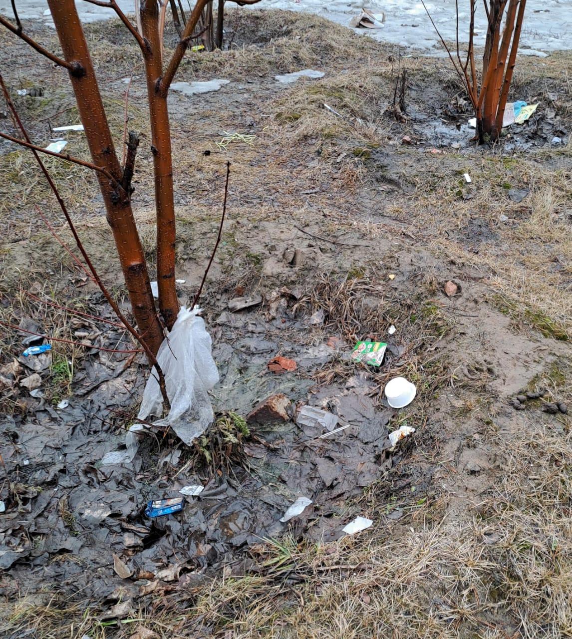 Фото «Город-помойка»? Новосибирцы возмущаются из-за гор мусора в мегаполисе. Фоторепортаж 5